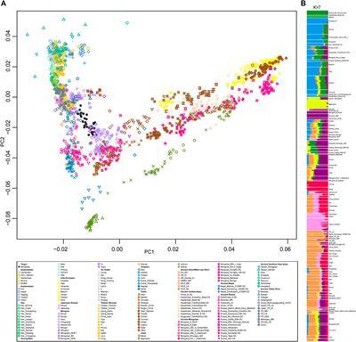 Genomic Insights Into the Genetic Structure and Natural Selection of Mongolians